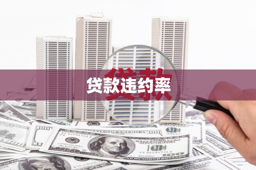 竹东贷款违约率