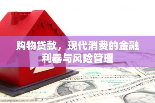 竹东购物贷款，现代消费的金融利器与风险管理