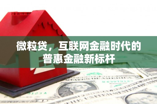 竹东微粒贷，互联网金融时代的普惠金融新标杆