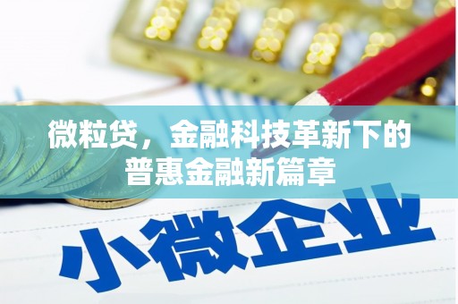 竹东微粒贷，金融科技革新下的普惠金融新篇章