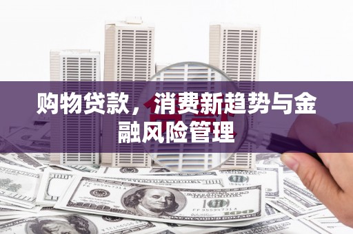 竹东购物贷款，消费新趋势与金融风险管理