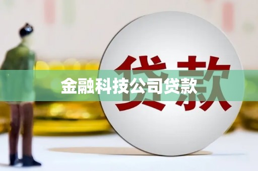 竹东金融科技公司贷款