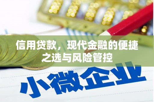 竹东信用贷款，现代金融的便捷之选与风险管控