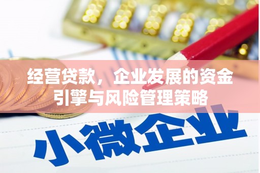 竹东经营贷款，企业发展的资金引擎与风险管理策略