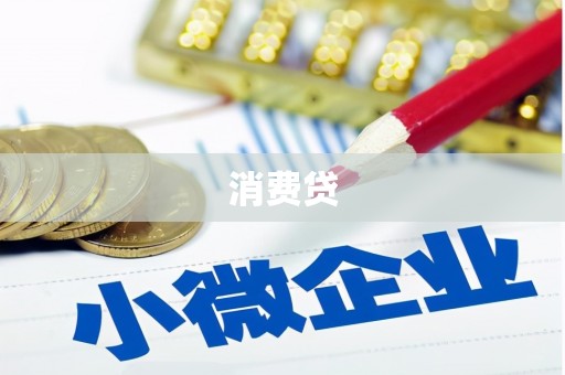 竹东消费贷
