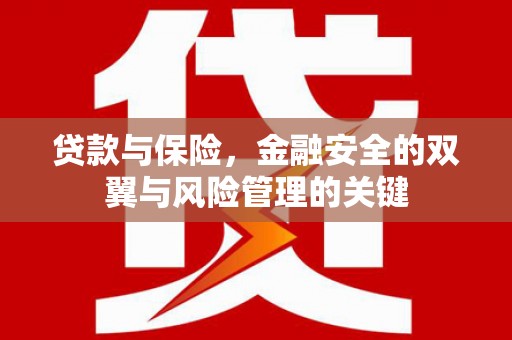 竹东贷款与保险，金融安全的双翼与风险管理的关键
