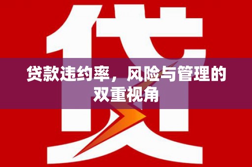 竹东贷款违约率，风险与管理的双重视角