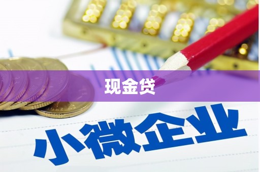 竹东现金贷