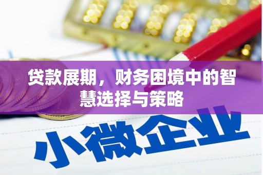 竹东贷款展期，财务困境中的智慧选择与策略
