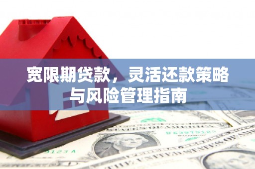 竹东宽限期贷款，灵活还款策略与风险管理指南