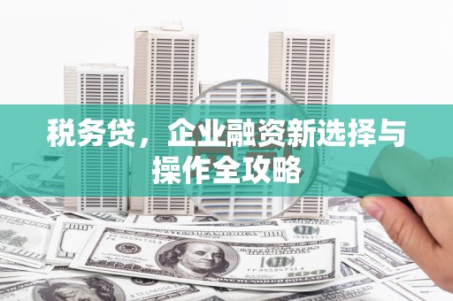 竹东税务贷，企业融资新选择与操作全攻略