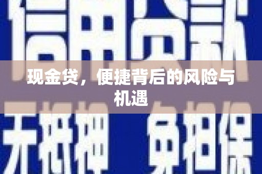 竹东现金贷，便捷背后的风险与机遇