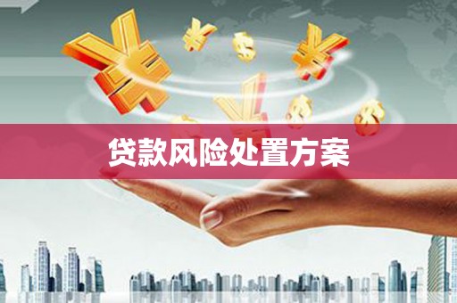 竹东贷款风险处置方案