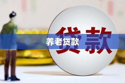 竹东养老贷款