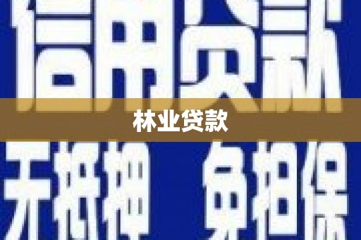 竹东林业贷款