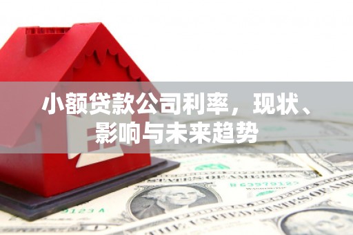 竹东小额贷款公司利率，现状、影响与未来趋势