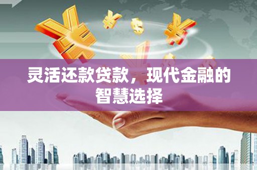 竹东灵活还款贷款，现代金融的智慧选择