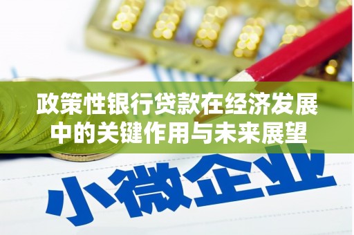 竹东政策性银行贷款在经济发展中的关键作用与未来展望