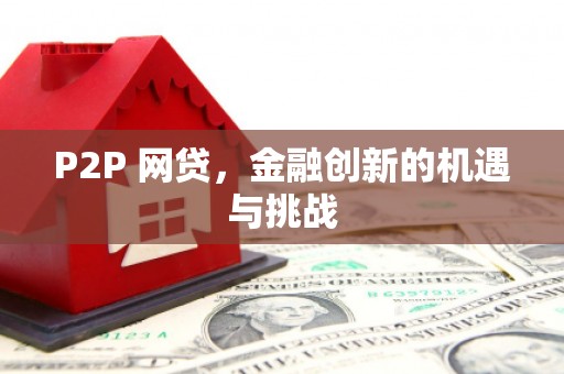 竹东P2P 网贷，金融创新的机遇与挑战