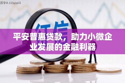竹东平安普惠贷款，助力小微企业发展的金融利器