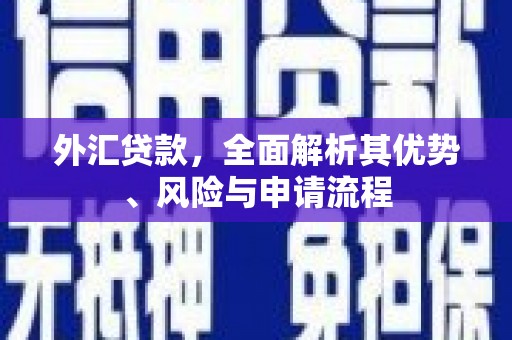 竹东外汇贷款，全面解析其优势、风险与申请流程