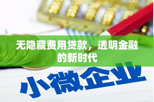 竹东无隐藏费用贷款，透明金融的新时代