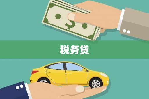 竹东税务贷