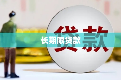 竹东长期限贷款