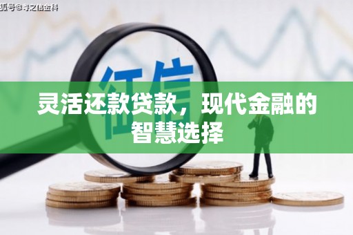 竹东灵活还款贷款，现代金融的智慧选择