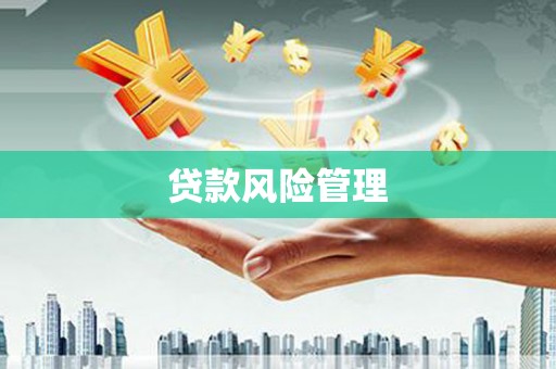 竹东贷款风险管理