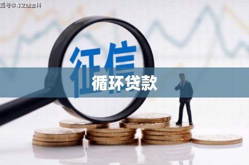 竹东循环贷款