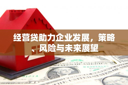 竹东经营贷助力企业发展，策略、风险与未来展望