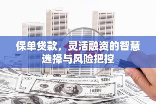 竹东保单贷款，灵活融资的智慧选择与风险把控