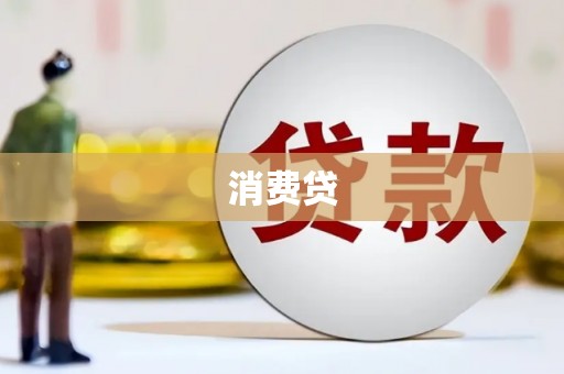 竹东消费贷