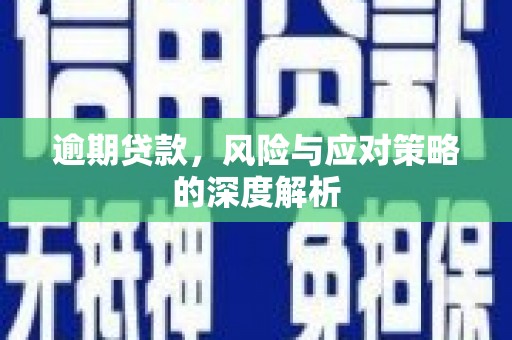 竹东逾期贷款，风险与应对策略的深度解析