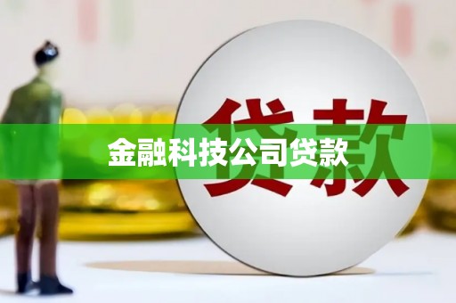 竹东金融科技公司贷款