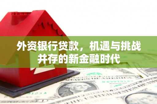 竹东外资银行贷款，机遇与挑战并存的新金融时代