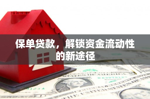 竹东保单贷款，解锁资金流动性的新途径