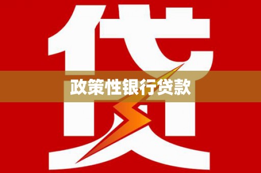 竹东政策性银行贷款