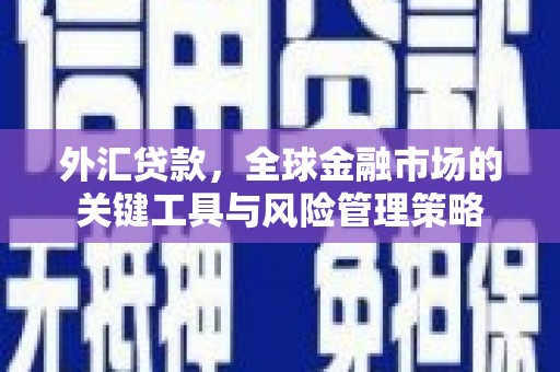 竹东外汇贷款，全球金融市场的关键工具与风险管理策略