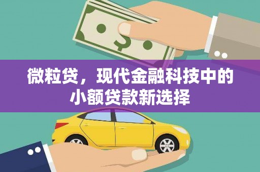 竹东微粒贷，现代金融科技中的小额贷款新选择