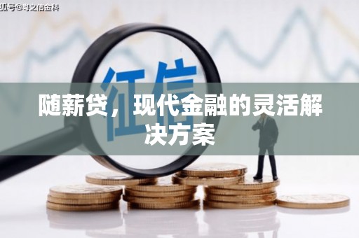 竹东随薪贷，现代金融的灵活解决方案