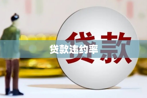 竹东贷款违约率