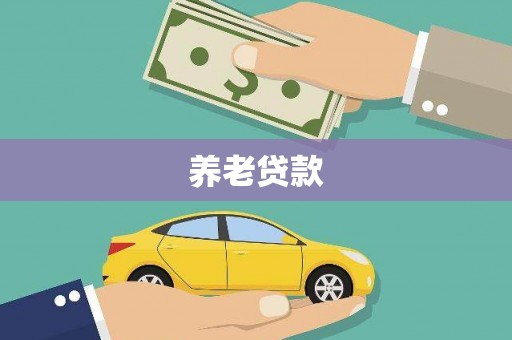 竹东养老贷款