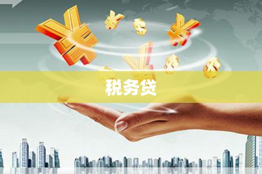 竹东税务贷