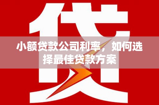 竹东小额贷款公司利率，如何选择最佳贷款方案