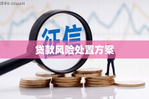 竹东贷款风险处置方案