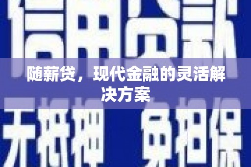 竹东随薪贷，现代金融的灵活解决方案