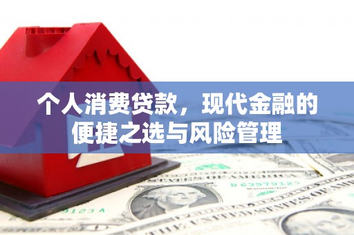 竹东个人消费贷款，现代金融的便捷之选与风险管理