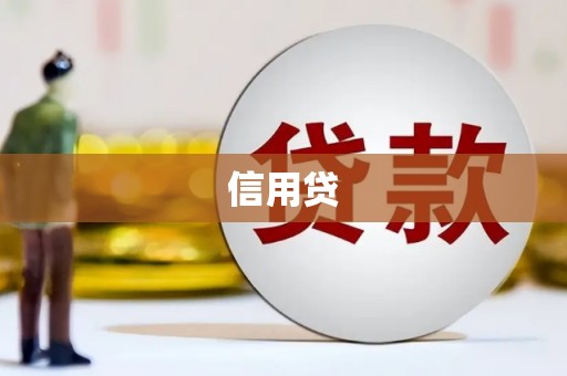 竹东信用贷